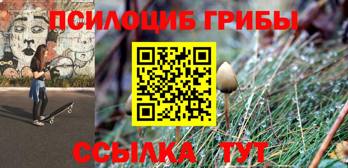 где продают   Псилоцибиновые грибы мухоморы  Пушкино  Вход с VPN  Псилоцибиновые грибы GOLDEN TEACHER 