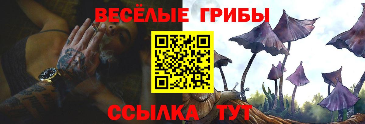 Псилоцибиновые грибы прущие грибы Пушкино